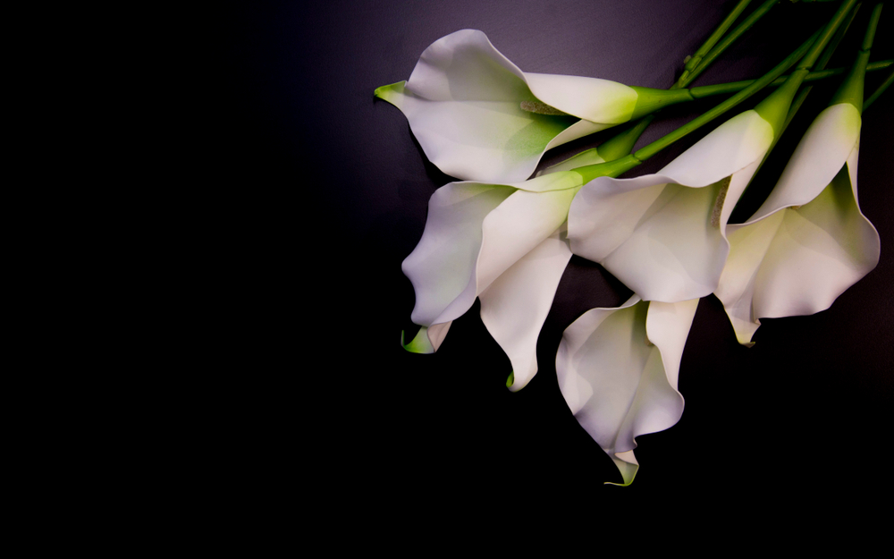 Flowers after wrongful death